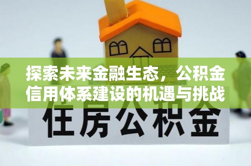 岑溪探索未来金融生态，公积金信用体系建设的机遇与挑战